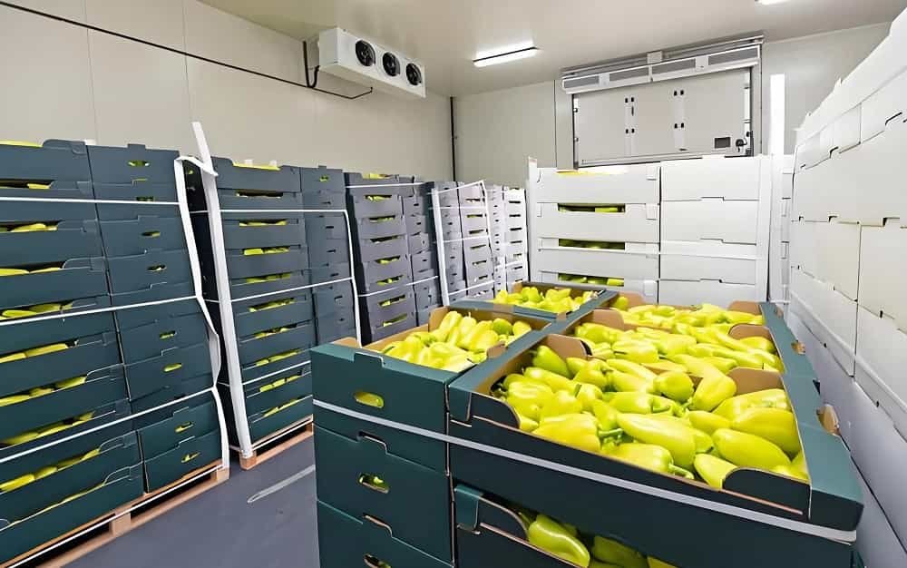Cella frigorifera per frutta e verdura 03