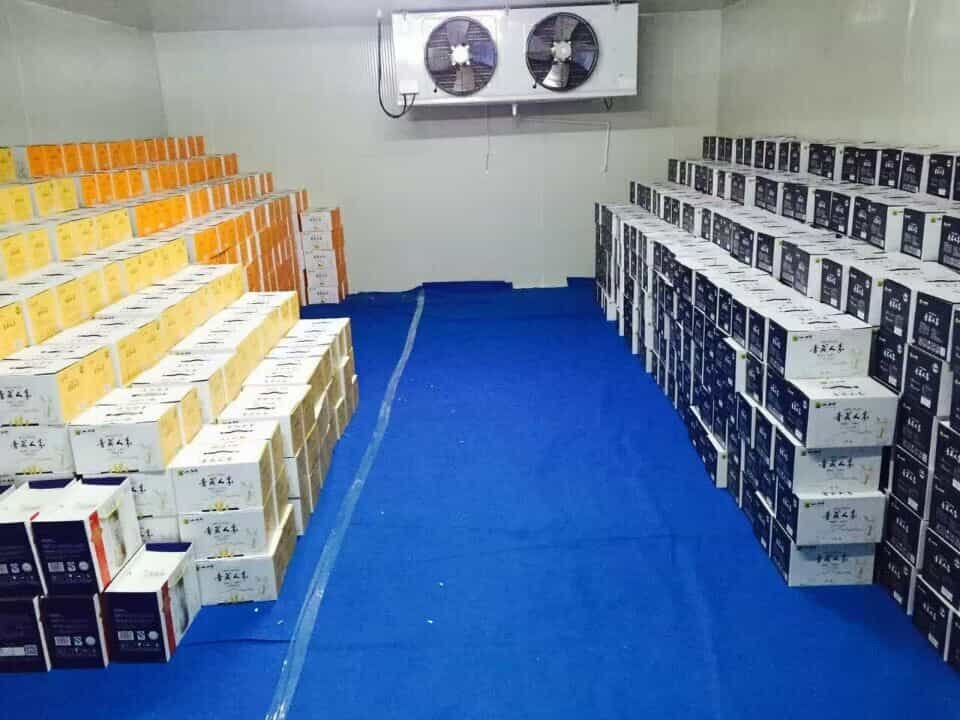 milk cold room 2