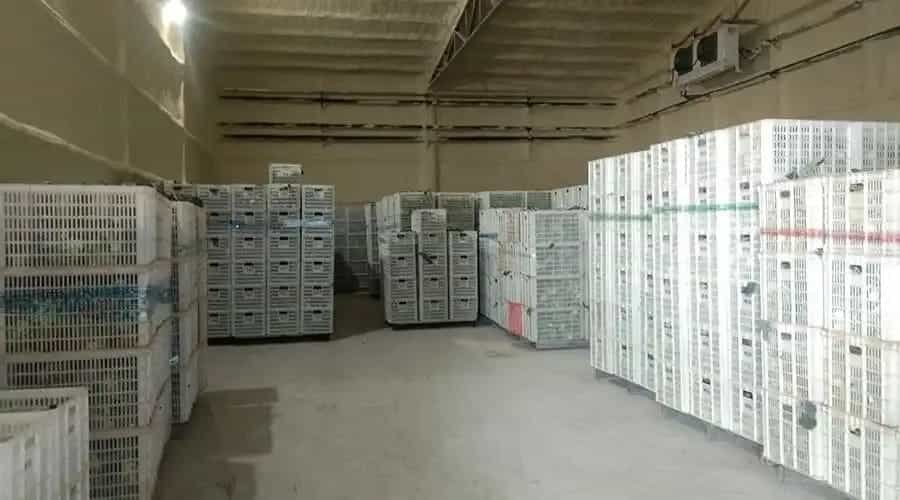 ห้องเย็นกระเทียม 3