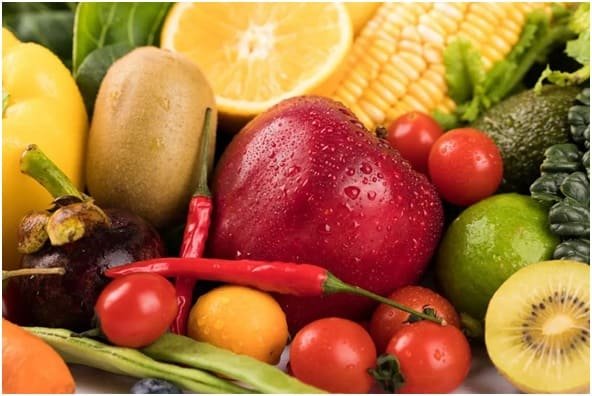 ನಿಯಂತ್ರಿತ ವಾತಾವರಣದ ಕೋಲ್ಡ್ ಸ್ಟೋರೇಜ್