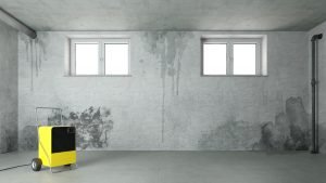 Fabricante de deshumidificador industrial para sótano.