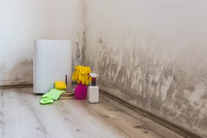 Dehumidifier jelas dan penyelenggaraan