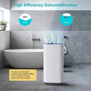 Dehumidifier vs pemanas