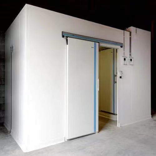 Hinged cold room door