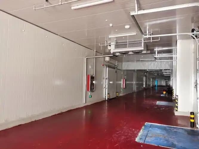 phòng lạnh bị mốc 1