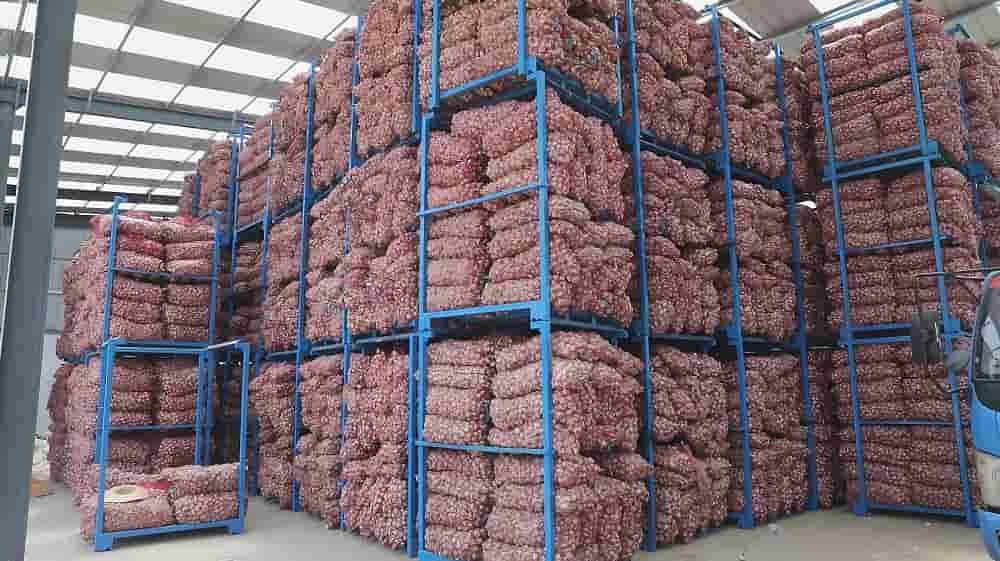 Quarto frio de alho 1