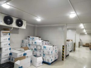 Liste des pannes de la chambre froide et dépannage